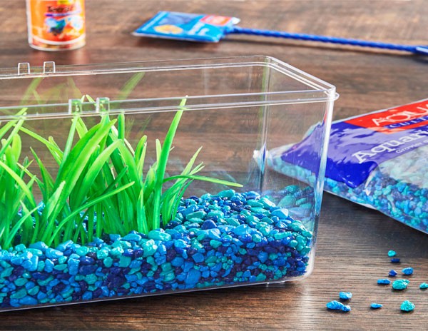 Aqua Culture, Aquarium & Accessories