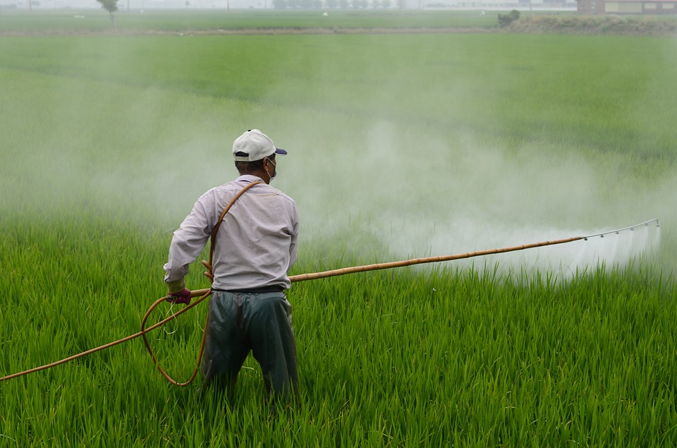 Pesticides & Insecticides