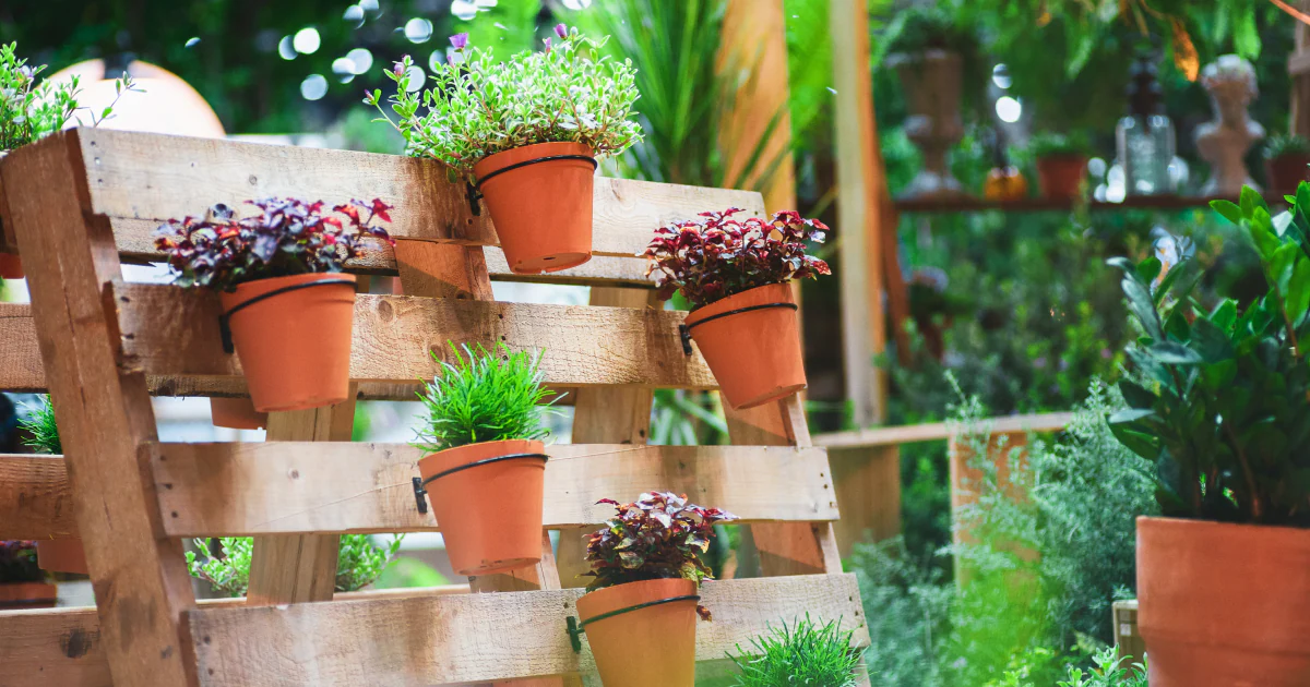 Flower Pots, Garden & Wall Planters