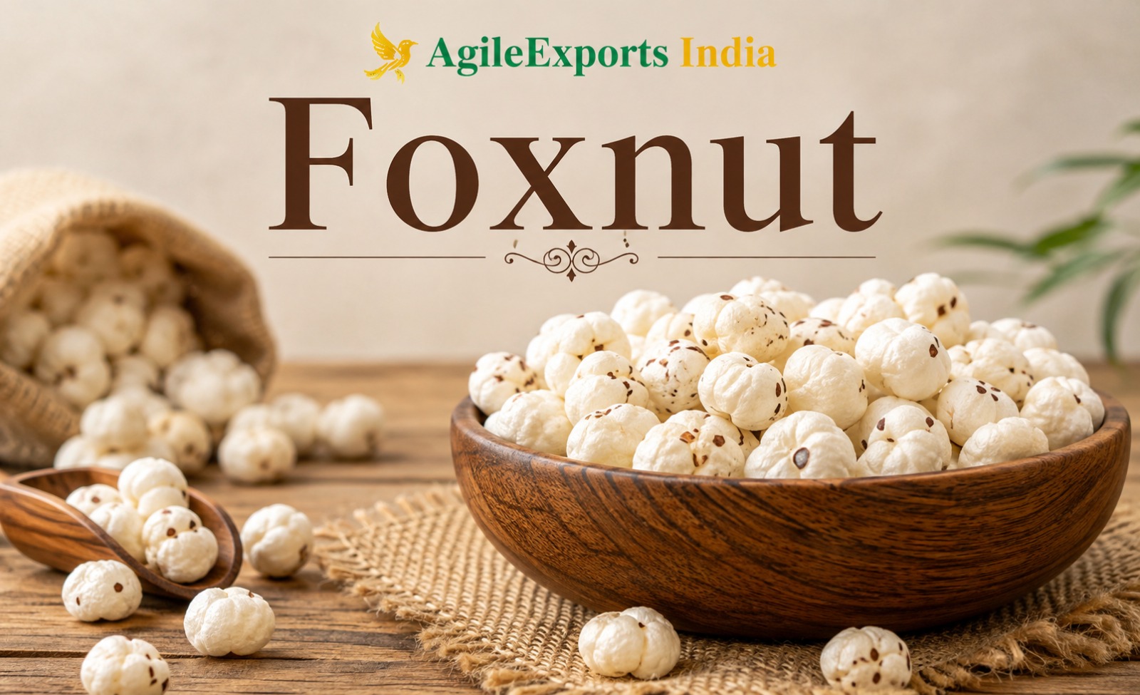 Top Foxnut Suppliers and Exporters in Maharashtra, India: Agilexports India
