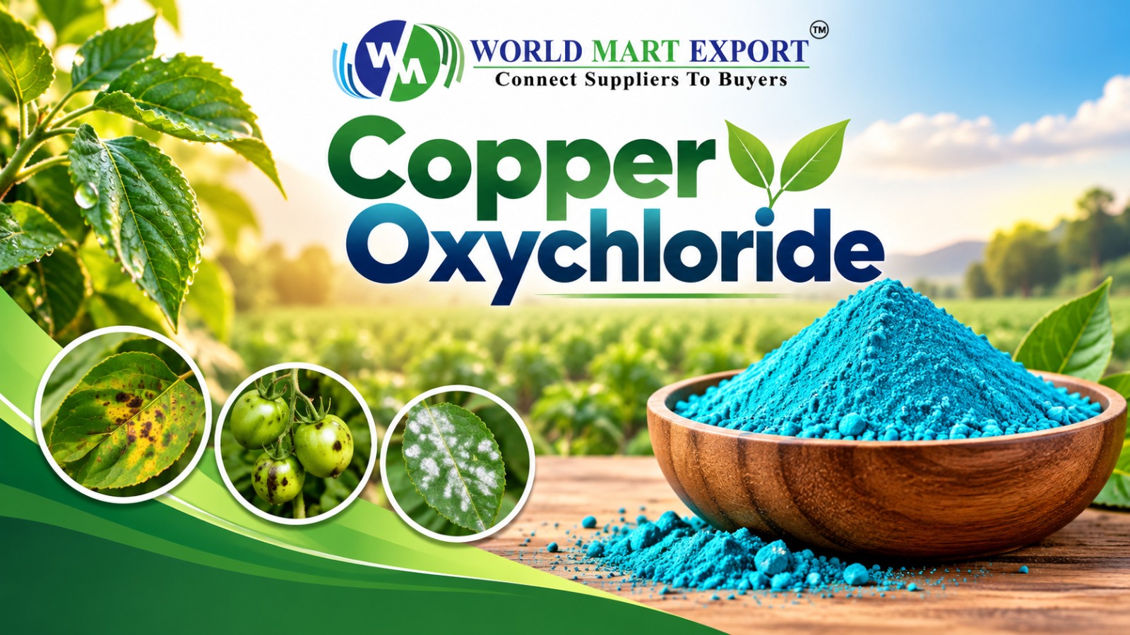 Top 5 Copper Oxychloride Manufacturers & Exporters in India (2026 Guide)