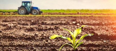 Agriculture Banner